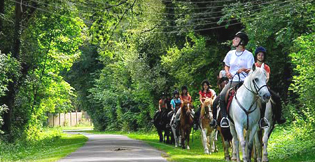 randonnée-cheval-foret