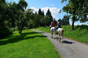 Deux personnes de dos sur des chevaux remontant un chemin en pleine campagne