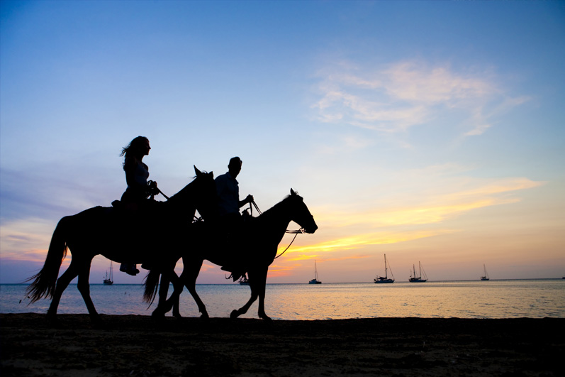 Parcourir la Normandie à cheval